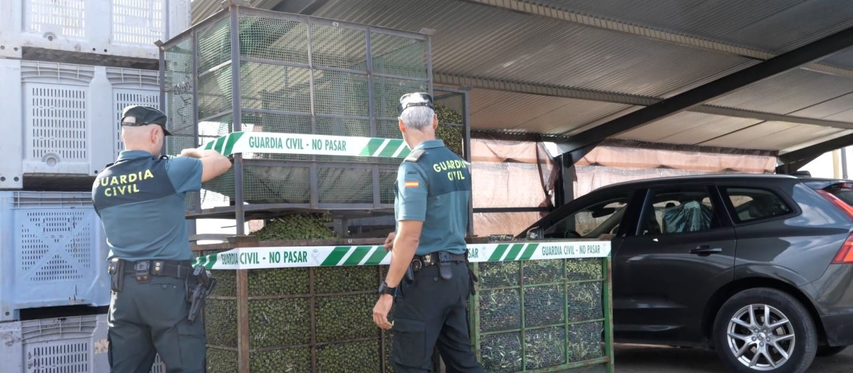 Imagen de la intervención de la Guardia Civil en Arahal

REMITIDA / HANDOUT por GUARDIA CIVIL
Fotografía remitida a medios de comunicación exclusivamente para ilustrar la noticia a la que hace referencia la imagen, y citando la procedencia de la imagen en la firma
20/11/2024