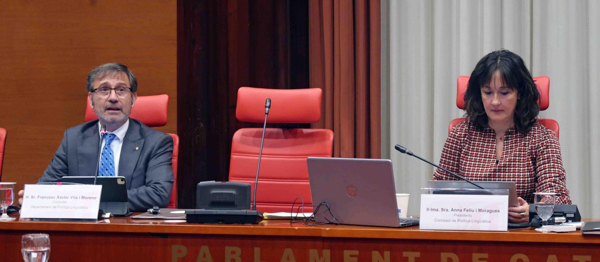 El consejero de Política Lingüística, Francesc Xavier Vila,d urante su comparecencia en el Parlament