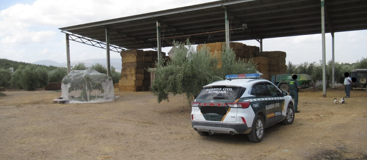 Inspección de las explotaciones donde se han localizado las balas de ensilado de triticale

REMITIDA / HANDOUT por GUARDIA CIVIL
Fotografía remitida a medios de comunicación exclusivamente para ilustrar la noticia a la que hace referencia la imagen, y citando la procedencia de la imagen en la firma
22/11/2024