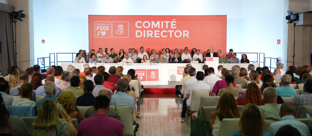 Reunión del Comité Director del PSOE andaluz (archivo)