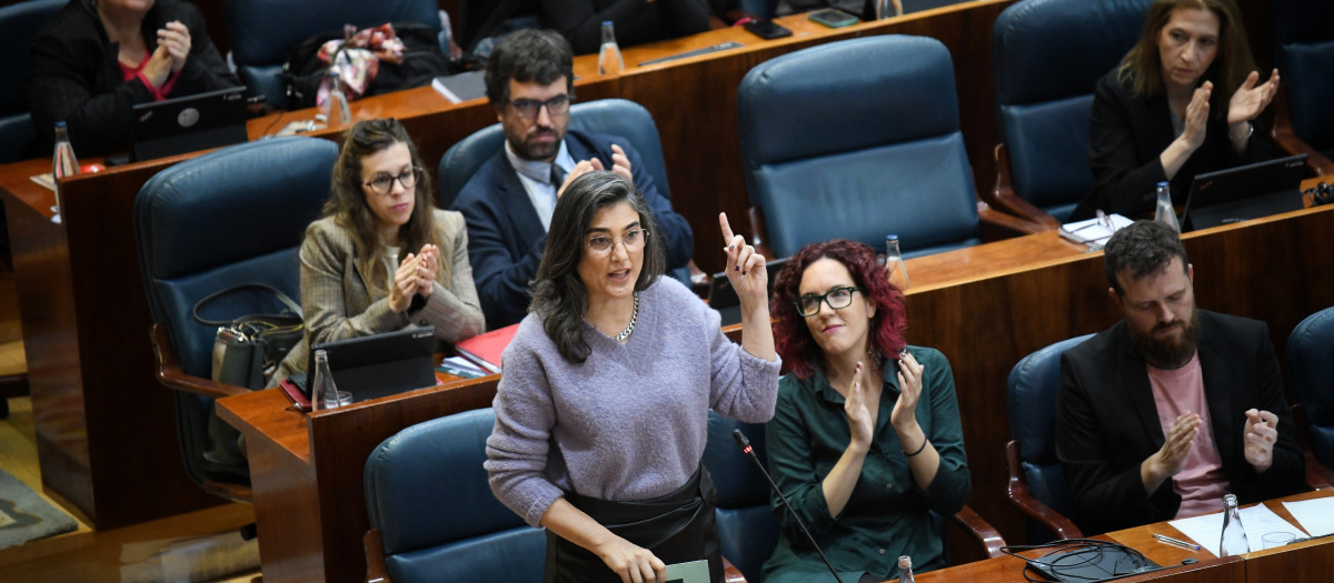 La portavoz de Más Madrid en la Asamblea, Manuela Bergerot