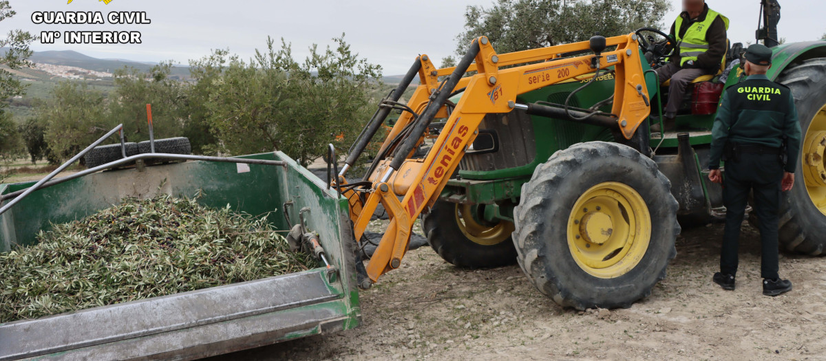 La Guardia Civil establece controles para conocer la procedencia de los productos agrícolas y evitar robos en las explotaciones