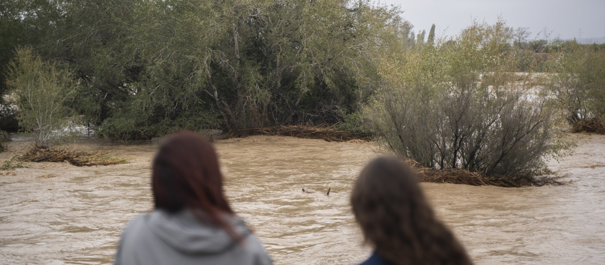 Varias personas observan la crecida del río Magro, el pasado 29 de octubre, día de la fatítida DANA

Jorge Gil / Europa Press
29 OCTUBRE 2024;DANA;INUNDACIONES;
29/10/2024