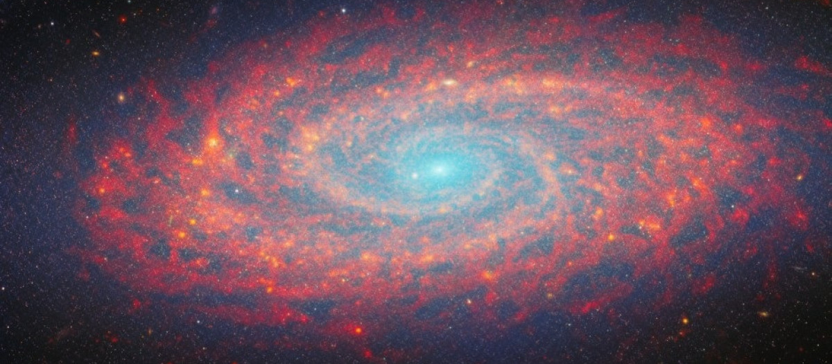 Galaxia NGC 2090

REMITIDA / HANDOUT por ESA
Fotografía remitida a medios de comunicación exclusivamente para ilustrar la noticia a la que hace referencia la imagen, y citando la procedencia de la imagen en la firma
27/11/2024