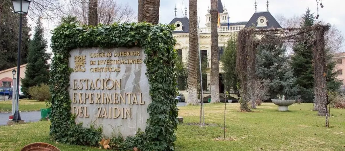 El CSIC ha iniciado la apertura de un expediente sancionador y ha activado a su equipo jurídico para estudiar las posibles responsabilidadeS