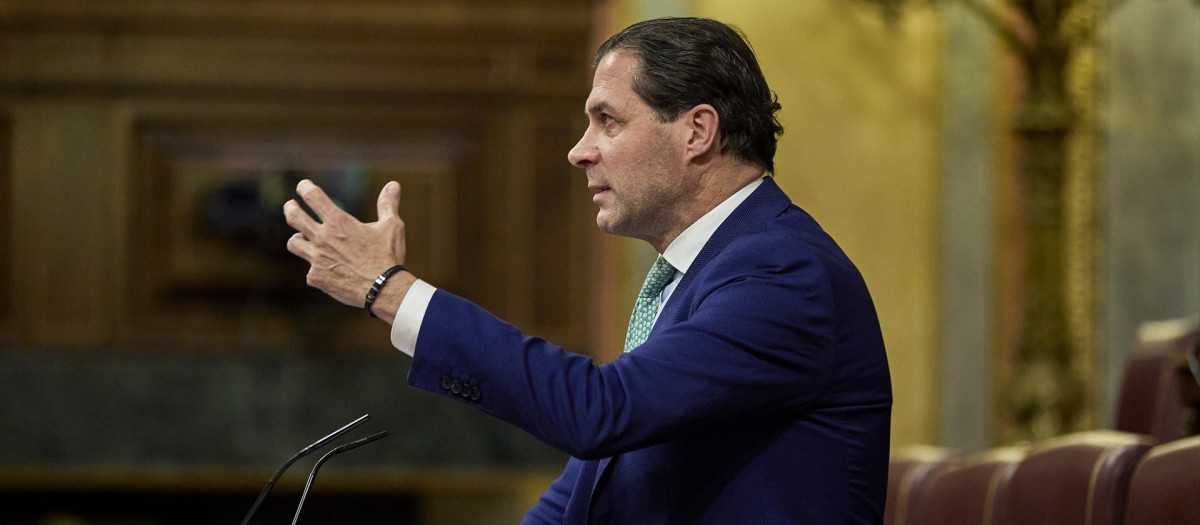 El diputado de Vox Pedro Fernández