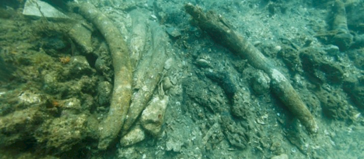 Algunos de los restos descubiertos en el arrecife de coral frente a la costa de Kenia