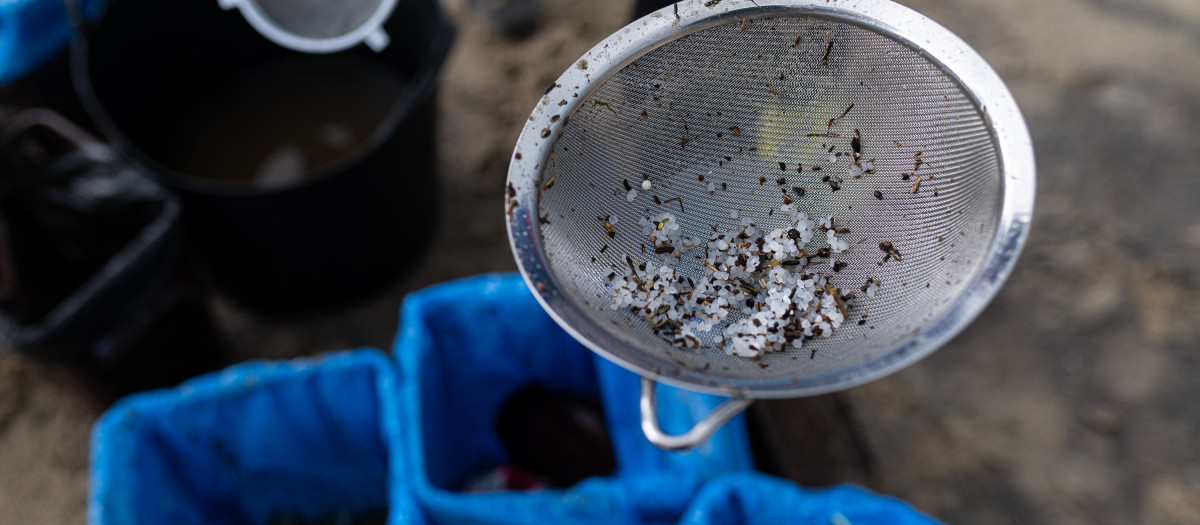 (Foto de ARCHIVO)
Pellets encontrados en la playa Bos, a 13 de enero de 2024, en Noia, A Coruña, Galicia (España). La conocida ya como la “marea blanca”, se prevé que proceda de los seis contenedores del buque Toconao que cayeron al mar en aguas portuguesas. Al menos uno de los seis contenedores, cuyo peso ronda las 20 toneladas, contendría entre 800 y 1.000 sacos de 25 kilos de pellets. Los pellets son pequeñas bolas de plástico de menos de cinco milímetros que son empleadas para fabricar productos de plástico, por su pequeño tamaño y peso ligero, es "casi imposible limpiarlos" una vez que se esparcen por las playas.

Elena Fernández / Europa Press
13 ENERO 2024;PELLETS;PLÁSTICO;CONTAMINACIÓN;LIMPIEZA;PLAYAS;BUQUE
13/1/2024
