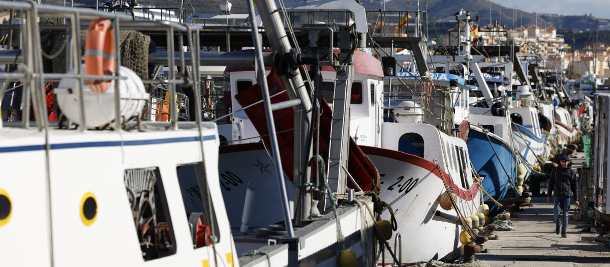 Barcos de arrastre amarrados en el puerto de La Caleta de Vélez-Málaga