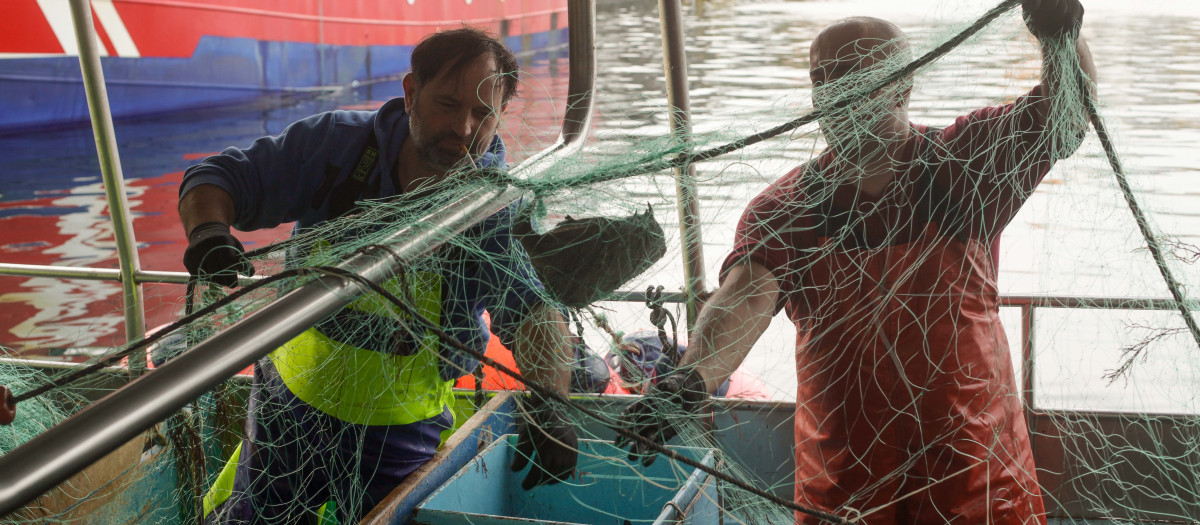 Burela, Lugo. Descarga de pulpo y marisco en los días previos a la Navidad. Los días previos a la Navidad la demanda de marisco y pescados de calidad aumenta exponencialmente, y los patrones y pescadores de A Mariña aumentan su carga de trabajo para poder proveer a los clientes y asegurarse un buen salario de cara a las fiestas navideñas. En la imagen, los marineros y el patrón del Mar de Annea, Carlos Ramos, desenmarañan las redes cargadas de centolla, bogavante y pescado en el Puerto de Burela, en la tarde del miércoles 21 de diciembre