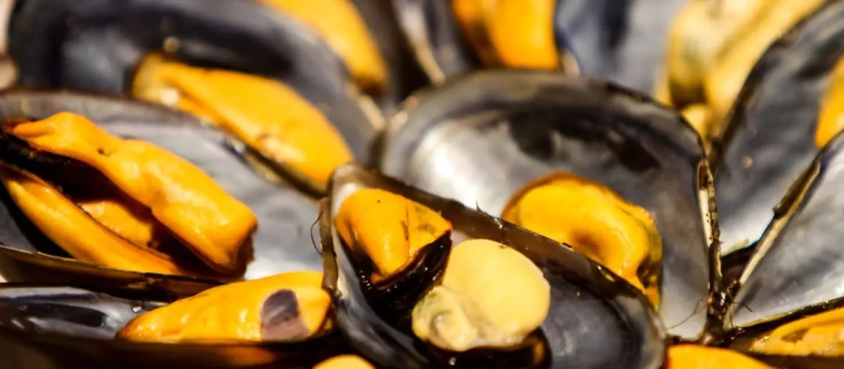 De acuerdo con lo expuesto por las autoridades europeas de seguridad alimentaria, los mejillones contaminados ya no se encuentran “presumiblemente” en el mercado