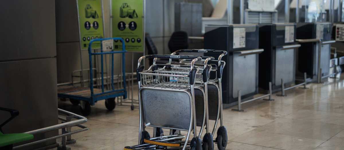 (Foto de ARCHIVO)
Varios carritos en la terminal 4 del Aeropuerto Adolfo Suárez Madrid-Barajas, a 24 de julio de 2024, en Madrid (España). La red de aeropuertos de Aena prevé operar un total de 41.336 vuelos en este puente de julio -entre el 24 y 29 de julio- siendo el próximo sábado el día de más movimientos, con 6.970, según los datos facilitados a Europa Press por el gestor aeroportuario. Mañana 25 de julio se celebra en España el día de Santiago Apóstol, patrón nacional, por lo que será festivo en las comunidades autónomas de Cantabria, Galicia, la Comunidad de Madrid, Navarra y el País Vasco.

Alejandro Martínez Vélez / Europa Press
24 JULIO 2024;AEROPUERTO;OPERACIÓN SALIDA;VERANO;AVIONES;SANTIAGO;FESTIVO;FESTIVIDAD;PUENTE;BARAJAS;IBERIA;
24/7/2024