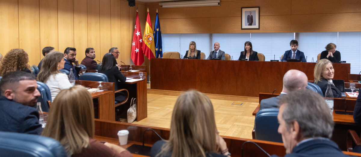 Primera sesión de la comisión de investigación de la Asamblea sobre la cátedra de Begoña Gómez en la Complutense