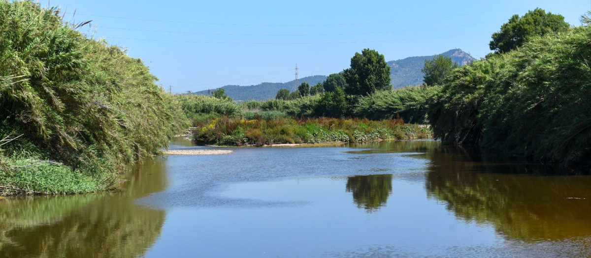 Un tramo del río Llobregat