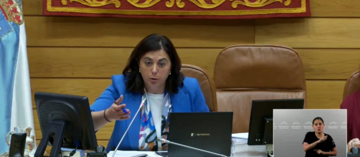 La vicepresidenta primera del Parlamento de Galicia, Elena Candia