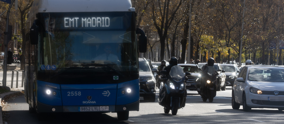 (Foto de ARCHIVO)
Un autobús de la EMT, a 9 de diciembre de 2024, en Madrid (España). CCOO ha desconvocado la huelga general prevista para este lunes 9 de diciembre de conductores de autobuses urbanos, interurbanos y estatales en toda España para reivindicar la jubilación anticipada en el sector. La organización sindical ha decidido suspender la jornada de huelga de transporte en autobús, para la que se había establecido unos servicios mínimos del 50% a nivel estatal, en la que habría sido la cuarta jornada de huelga.

Eduardo Parra / Europa Press
09 DICIEMBRE 2024;AUTOBUSES;TRANSPORTE PÚBLICO;EMT;;PIXELADA
09/12/2024