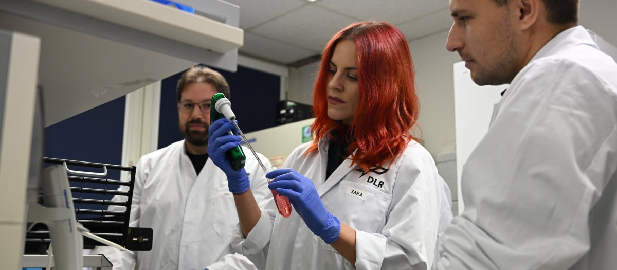 Sara García durante su entrenamiento como astronauta de la ESA

REMITIDA / HANDOUT por ESA
Fotografía remitida a medios de comunicación exclusivamente para ilustrar la noticia a la que hace referencia la imagen, y citando la procedencia de la imagen en la firma
27/12/2024