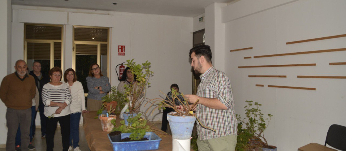 Una de las actividades desarrolladas en el curso sobre cuidado de plantas de patios