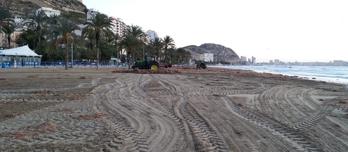 Playa de El Postiguet, en Alicante

AYTO DE ALICANTE
22/1/2020