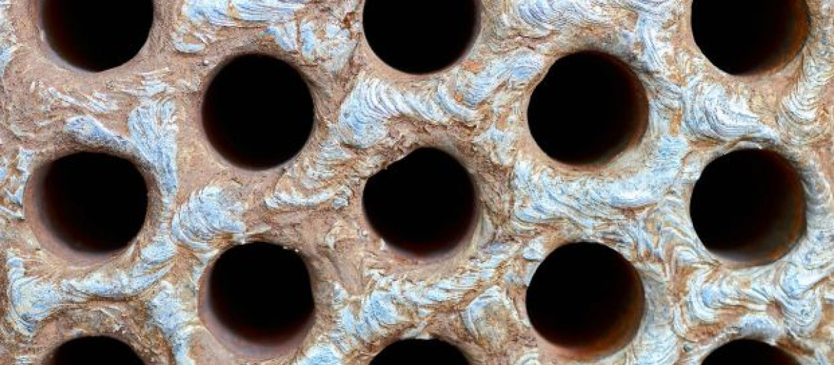 Una de las imágenes que se emplean para saber si se padece tripofobia