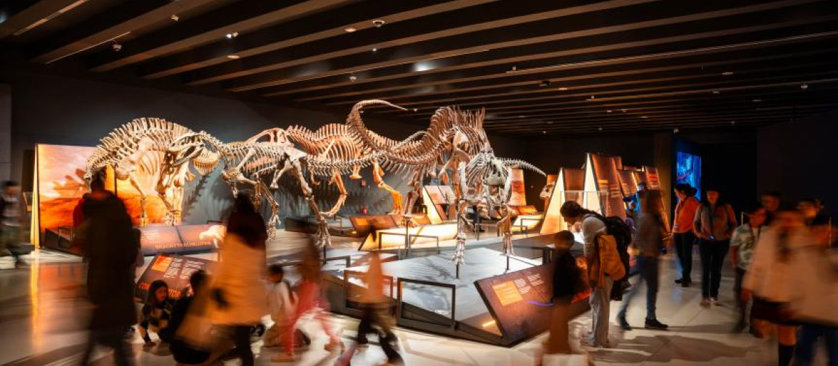 Público en la exposición Dinosaurios de la Patagonia en CaixaForum Madrid