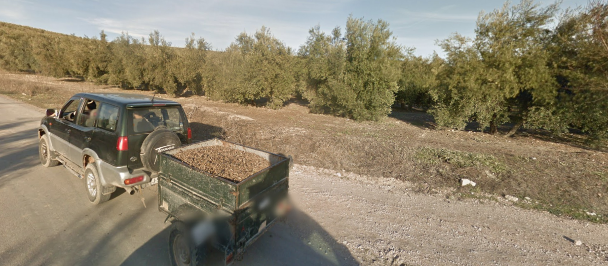 El senegalés estuvo trabajando como temporero de la aceituna en Villacarrillo