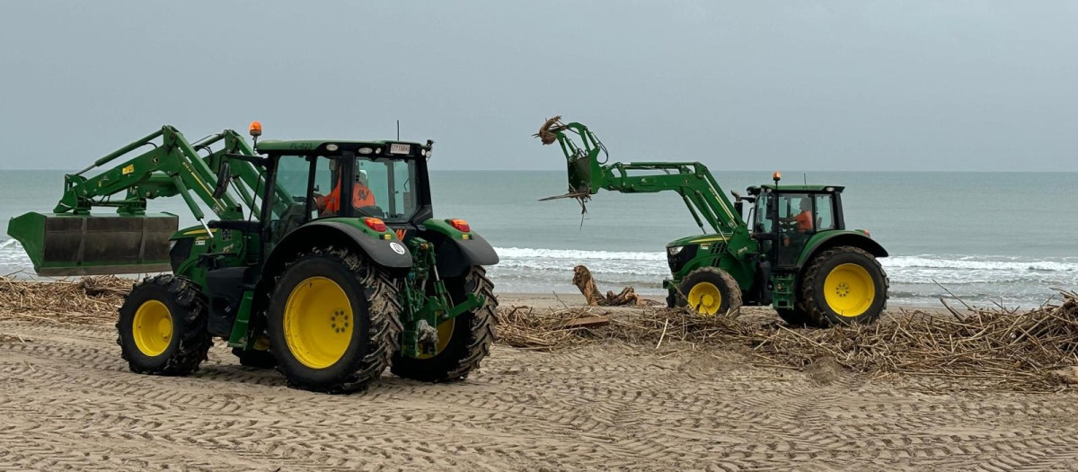 Imagen de las tareas de limpieza de la playa del Perellonet tras la dana, Valencia