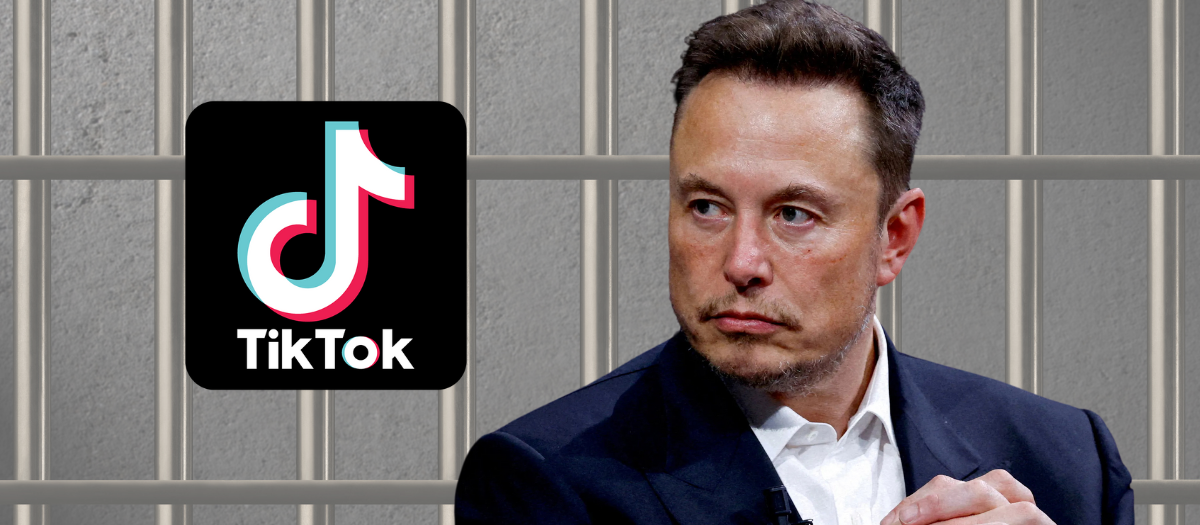 TikTok podría acabar en manos de Elon Musk