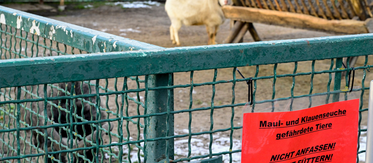 Una señal avisa de no tocar a los animales en una granja en Alemania por la fiebre aftosa