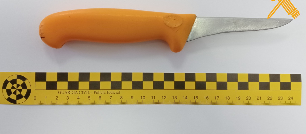 Cuchillo utilizado por el detenido para herir a su compañero

REMITIDA / HANDOUT por GUARDIA CIVIL
Fotografía remitida a medios de comunicación exclusivamente para ilustrar la noticia a la que hace referencia la imagen, y citando la procedencia de la imagen en la firma
16/1/2025