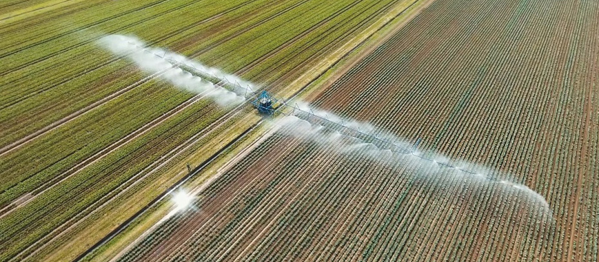 Riego de explotaciones agrícolas