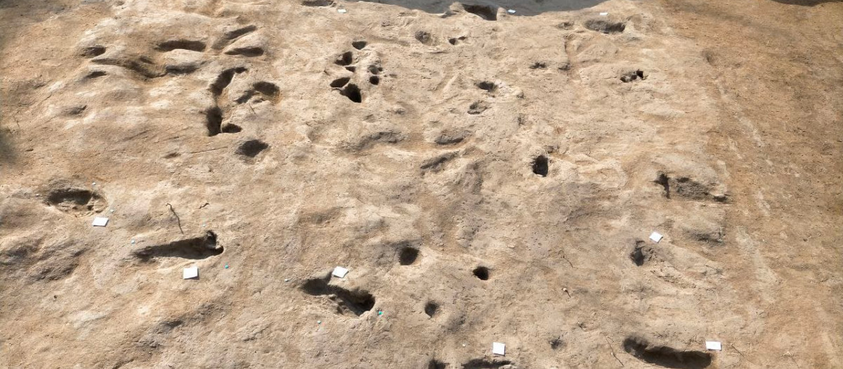 Las huellas dejadas por personas de la Edad del Bronce que huían de una erupción del Vesubio