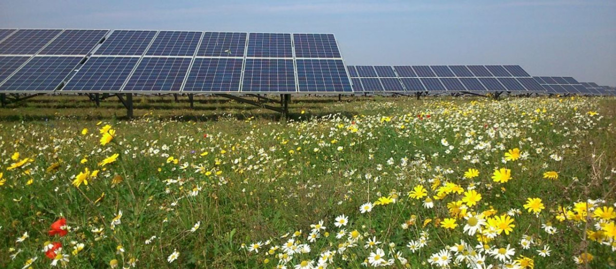 Placas fotovoltaicas de la empresa Statkraft en El Rancho, Andalucía