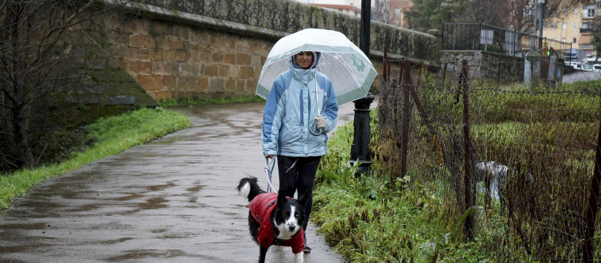 Una mujer pasea a su perro este martes en Plasencia (Cáceres) bajo la lluvia