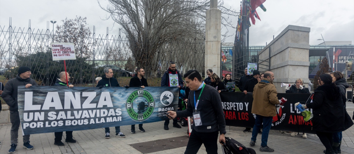 Varias personas durante una concentración del Partido Animalista PACMA en Fitur contra el turismo basado en el maltrato animal, en Ifema Madrid, a 26 de enero de 2025, en Madrid (España). PACMA ha convocado una concentración en protesta por las actividades turísticas que promueven el maltrato animal, haciendo en particular referencia a los "bous a la mar" de Dénia y Xàbia (Alicante).

Ricardo Rubio / Europa Press
26 ENERO 2025;PACMA;CONCENTRACIÓN;TURISMO;ANIMAL;MALTRATO;PROTESTA
26/1/2025