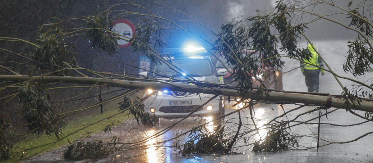 Un árbol corta la carretera en Negreira, La Coruña