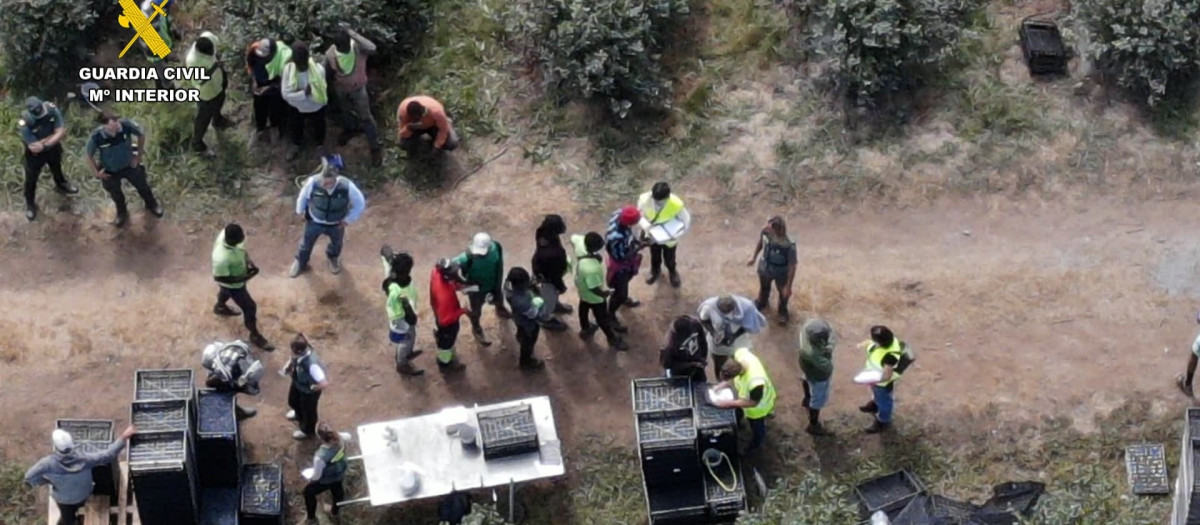 Inspección de la Guardia Civil y la ITSS de Lugo en una finca agrícola de Lugo