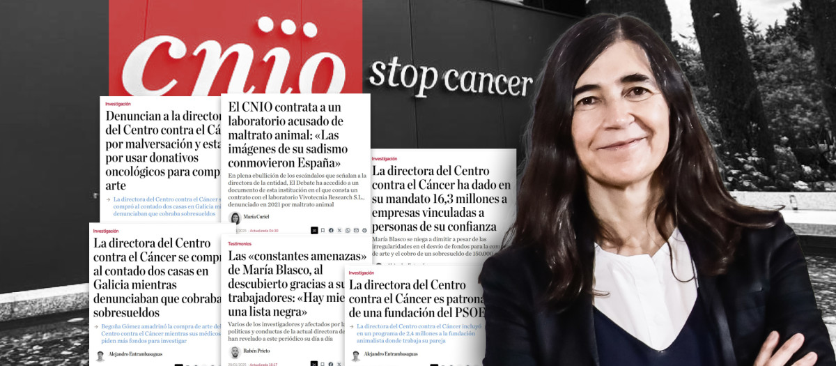 Ilustración María Blasco y sus irregularidades