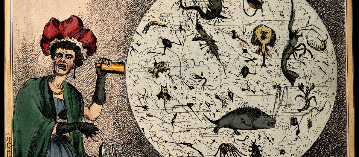 "Sopa de Monstruos comúnmente llamada agua del Támesis". Obra de William Heath