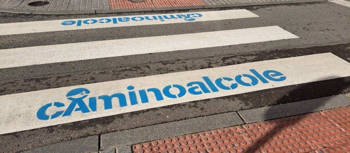 Paso de cebra repintado en el marco del programa 'Camino al Cole'