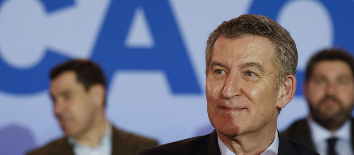 El líder del PP, Alberto Núñez Feijóo