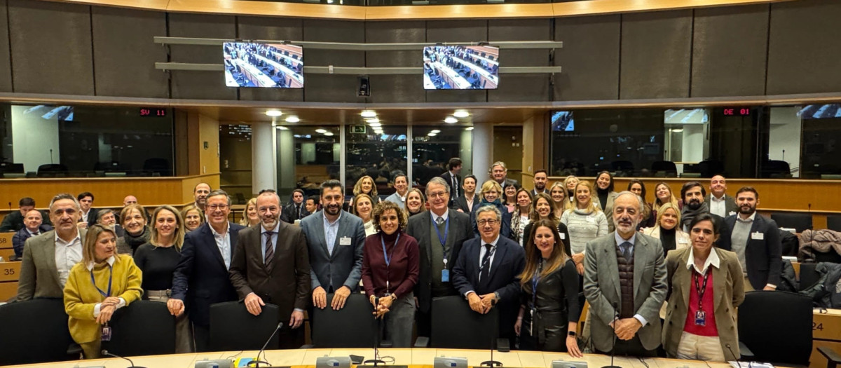 El PP de Madrid se ha reunido con el PPE en Bruselas
REMITIDA / HANDOUT por PARTIDO POPULAR MADRID
Fotografía remitida a medios de comunicación exclusivamente para ilustrar la noticia a la que hace referencia la imagen, y citando la procedencia de la imagen en la firma
04/2/2025
