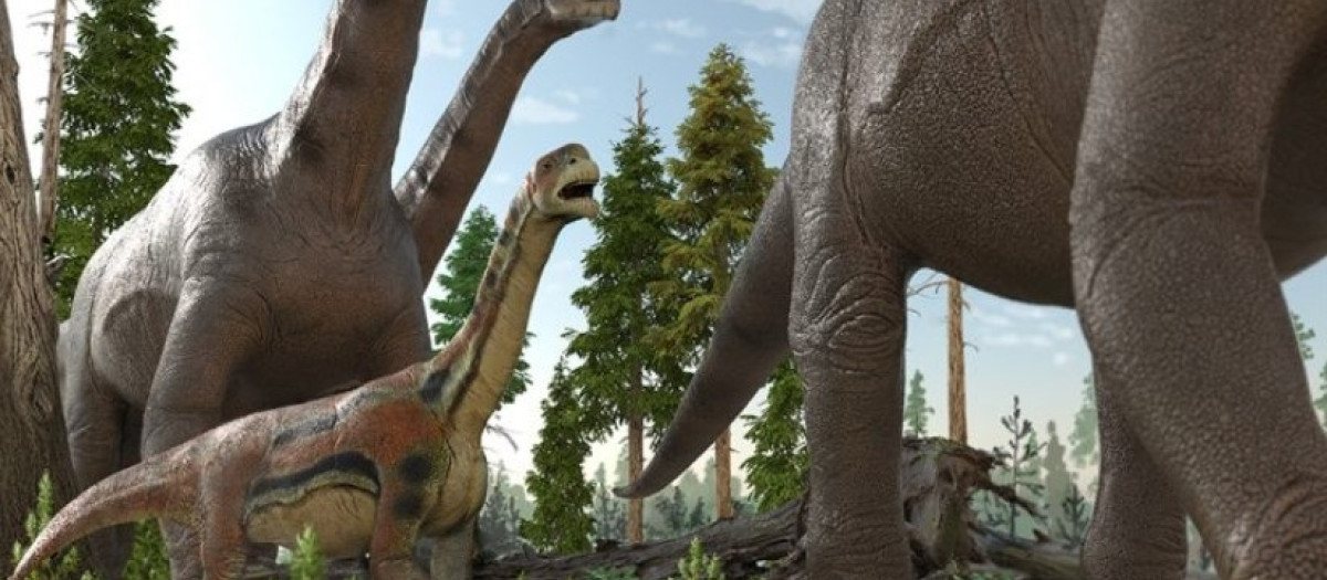 Los dinosaurios moldearon su entorno para la evolución de la fruta tras su extinción