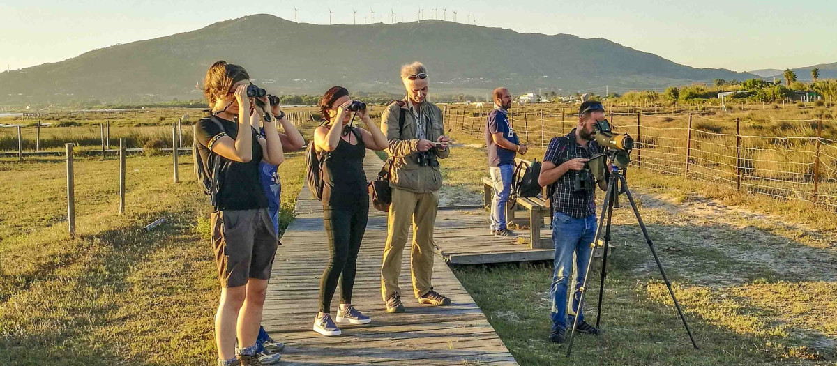 Turistas avistan aves en la provincia de Cádiz