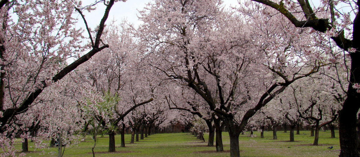 Parque Quinta de los Molinos
