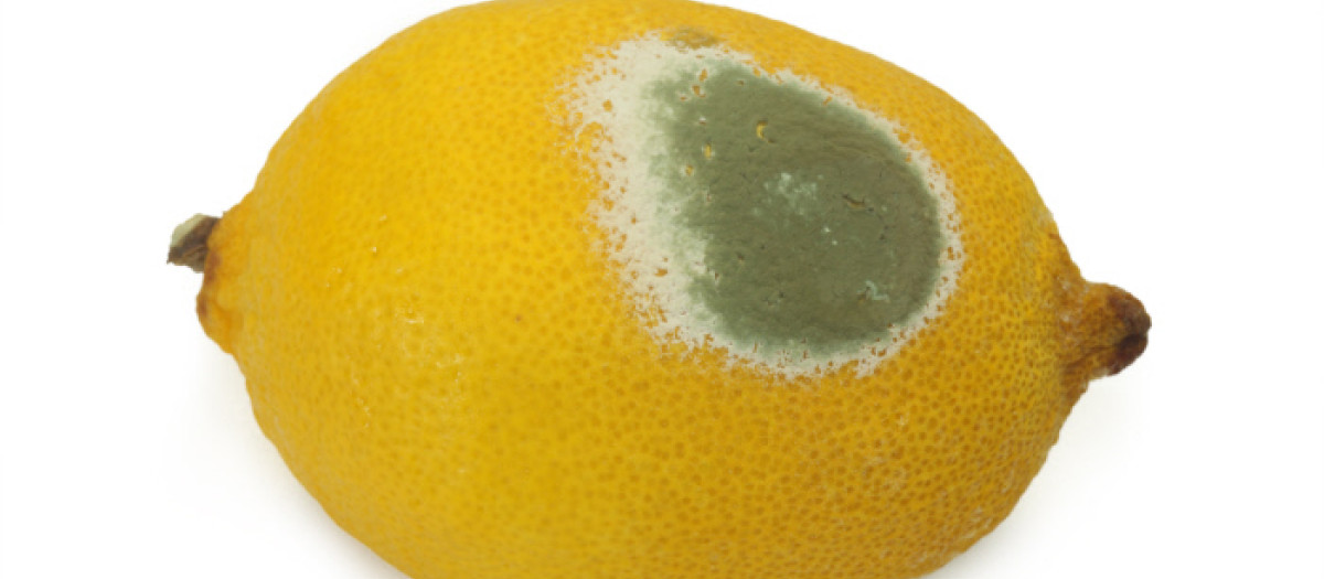 Un limón con moho
