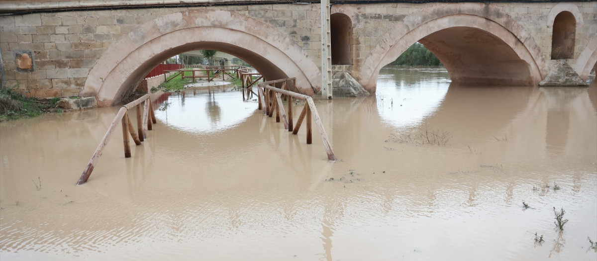 Crecida del río Guadalete a su paso por el puente de la Cartuja.