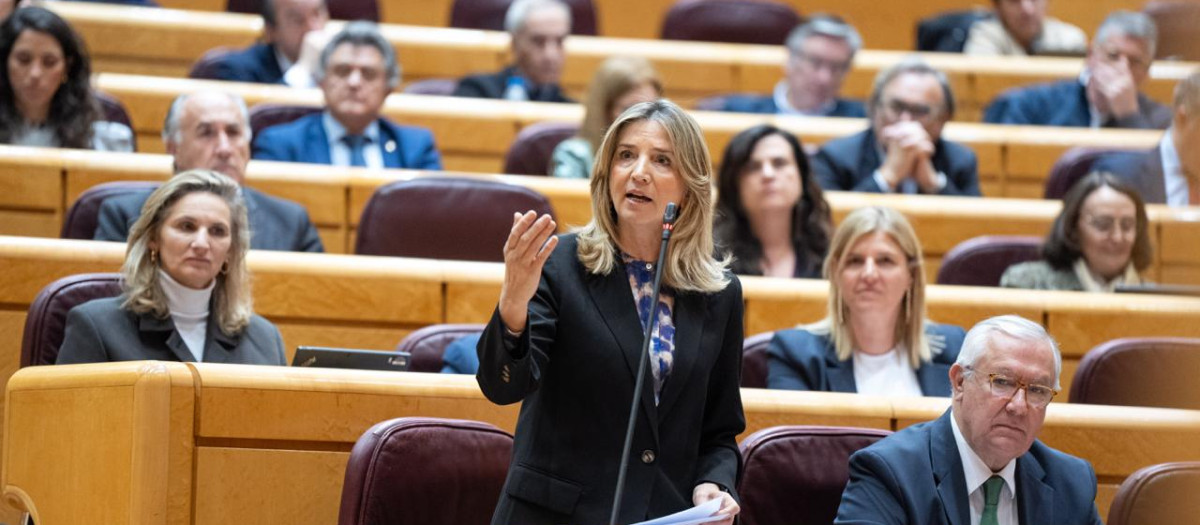 La senadora del PP, Alicia García