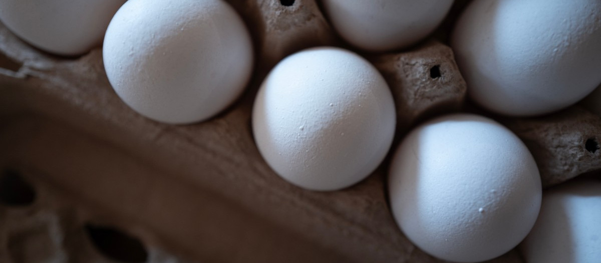 El precio promedio de los huevos aumentó más del 10 % el mes pasado