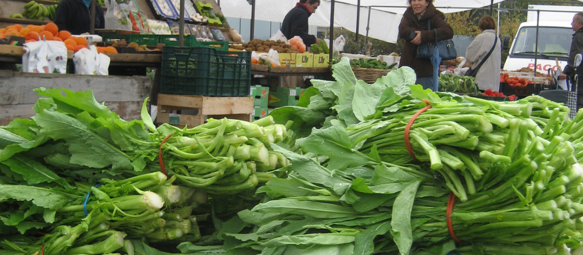 Un alimento gallego con muchas propiedades que desconocen en resto de España